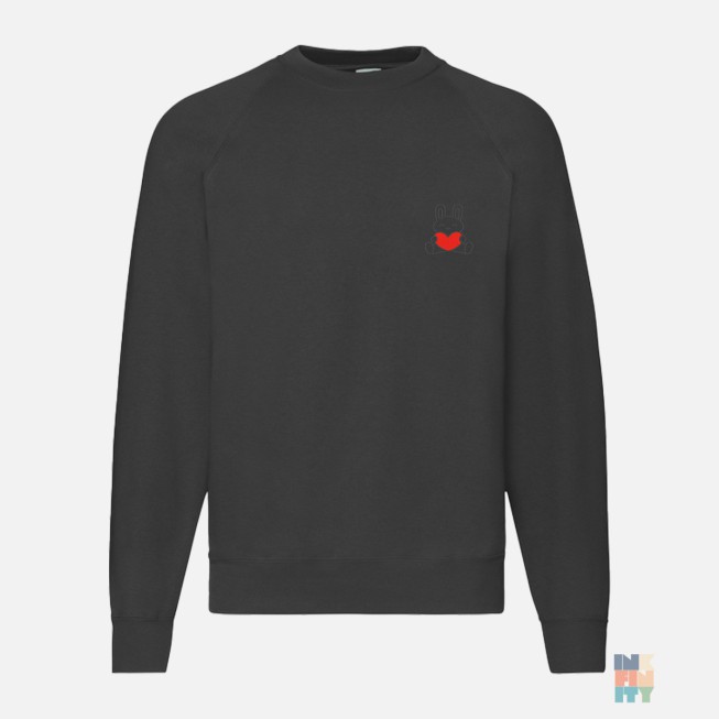 Raglan Sweater Love Cute Animal Embroidery Fruit of the Loom