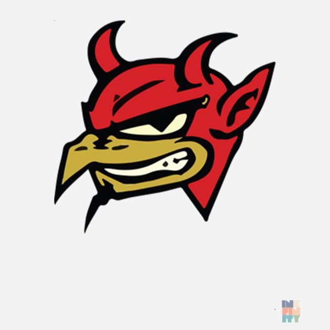 Premium T-Shirt Smiling Devil Fruit of the Loom