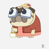 Varsity Jacket Grandma Dog Just Hoods