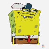 sort Happy Sponge Premier